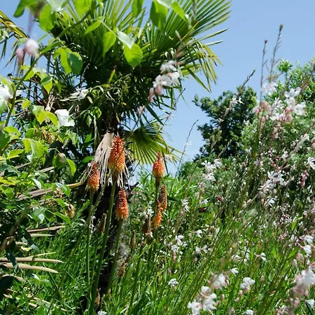 Anna Appartamento Savudrija