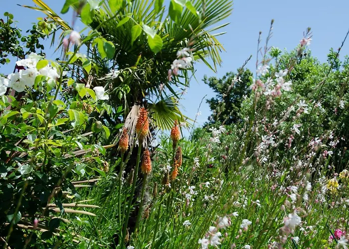 Anna 아파트 사부드리자