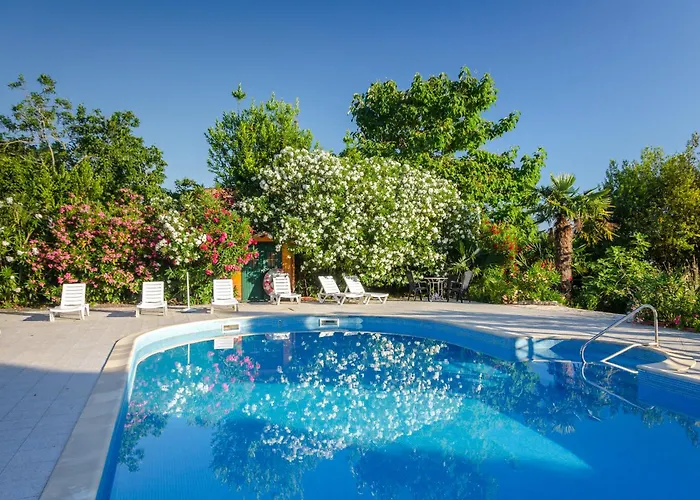 Anna * 사부드리자