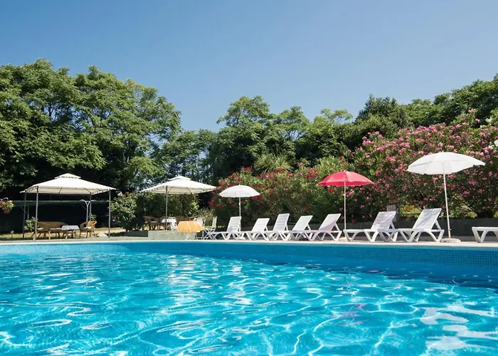 Anna 사부드리자